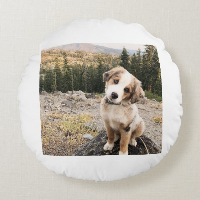 Coussin dogii mignon (Devant)