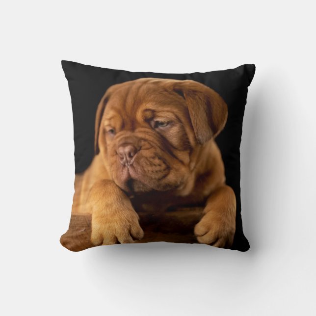 Coussin Dogue de Bordeaux - Chien à chiots français (Recto)