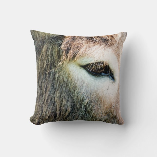 COUSSIN DONKEY (Recto)