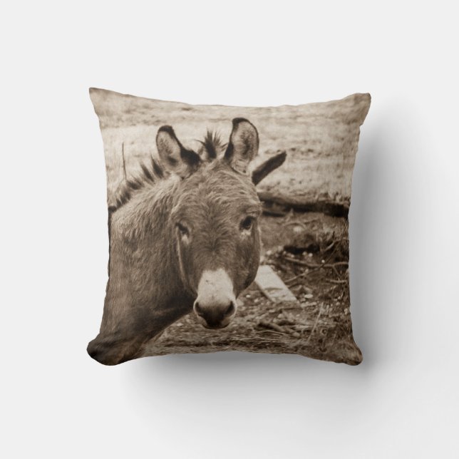 Coussin Donkey (Recto)