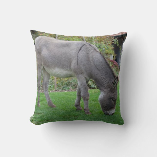 Coussin Donkey Sucré Dans Le Jardin (Recto)