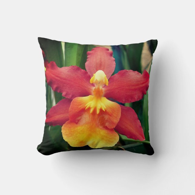 Coussin d'orchidée brillante (Recto)