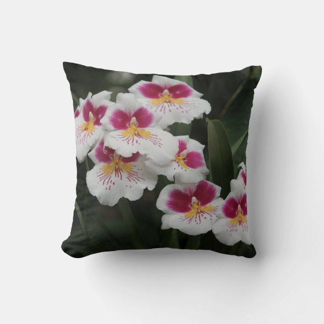 Coussin d'orchidée rose/blanc (Customisé) (Recto)