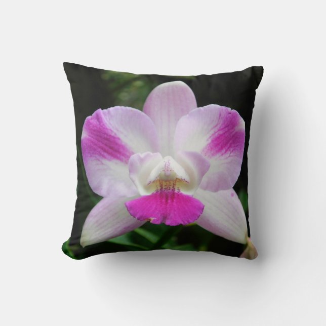 Coussin d'orchidée rose et blanche (Recto)
