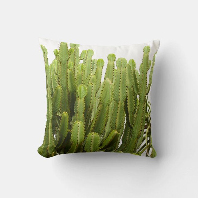 Coussin d'oreiller vert Succulent Plantes (Recto)