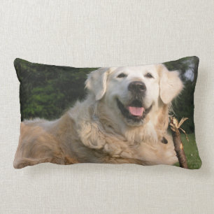 Coussin doux de golden retriever