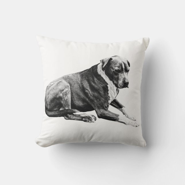 Coussin Doux Regard, Courbe Reposante (Recto)