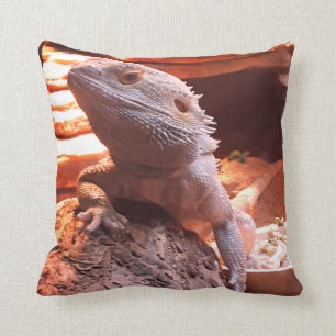 Coussin Dragon barbu