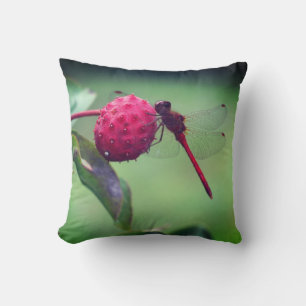 Coussin Dragonfly rouge sur les fruits de bois de chien Fe