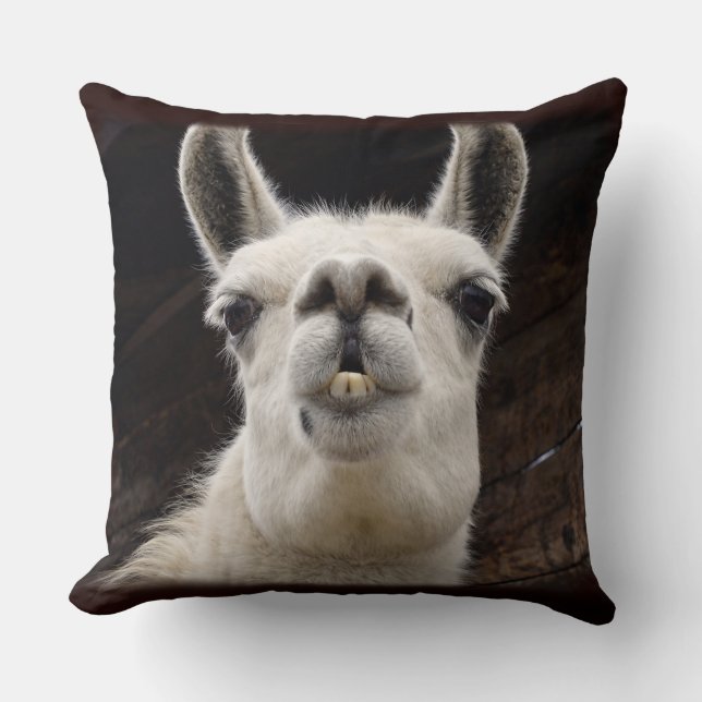 Coussin Drame de lama – Je t'ai à l'œil (Recto)