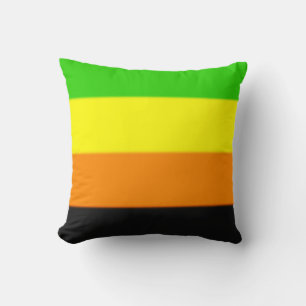 Coussin Drapeau de la Fierté Aromantique