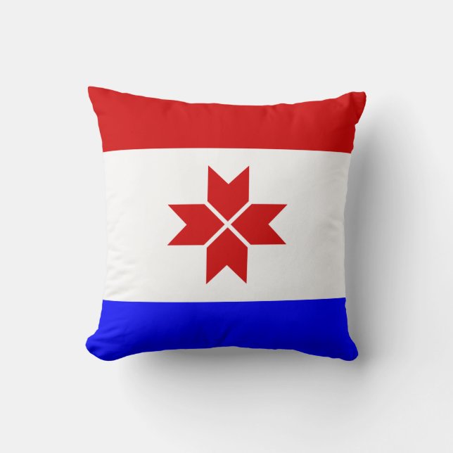 Coussin Drapeau de la Mordovie (Recto)