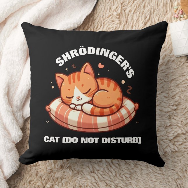 Coussin Drôle Chat de Shrodinger (Ne pas déranger) (Couverture)