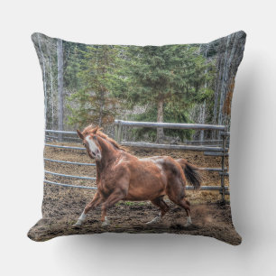 Coussin Drôle Cheval Equine Photo Design pour les amateurs