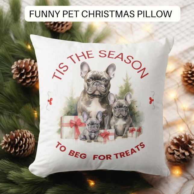 Coussin Drôle chien mendiant pour les cures Noël (Créateur téléchargé)