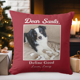 Coussin Drôle de lettre au Père Noël avec chien et chat po