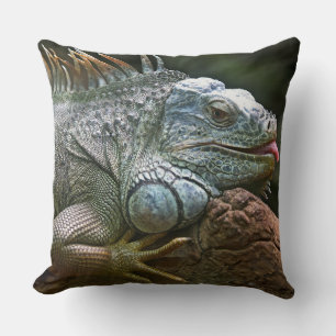 Coussin Drôle Iguana