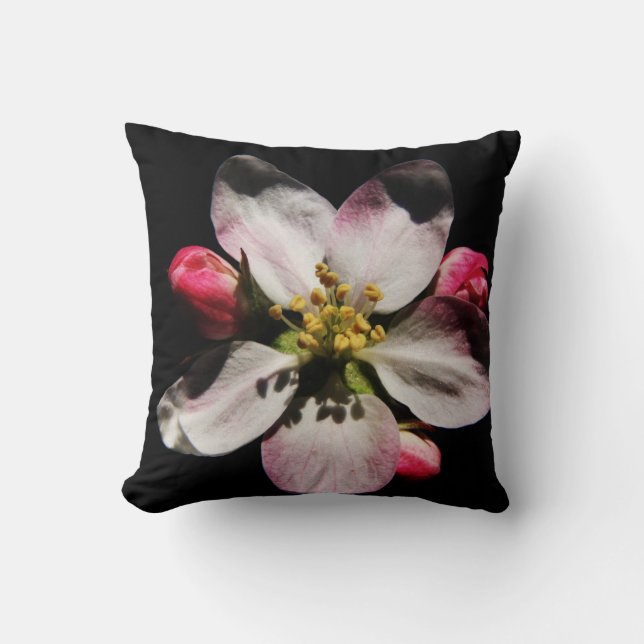 Coussin DS Sunflower ou Apple Blossom tp arc3 (Recto)