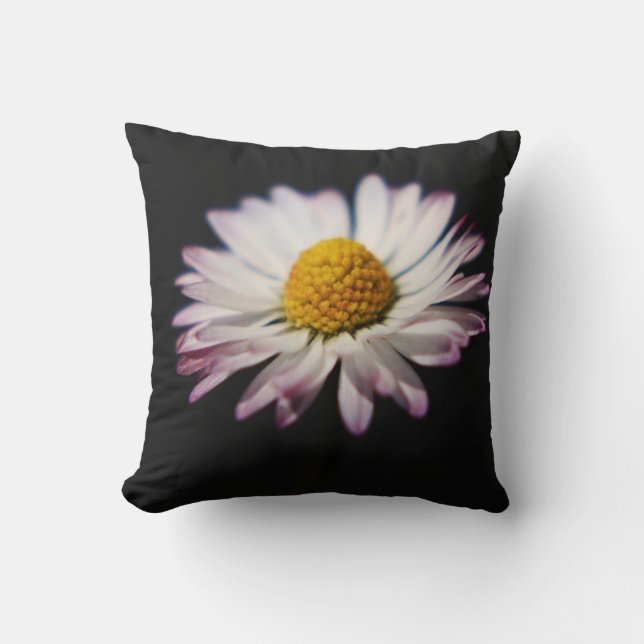Coussin DS Sunflower ou Daisy tpcnm (Recto)