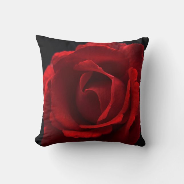 Coussin DS Sunflower ou Rose rouge tpcnm (Recto)