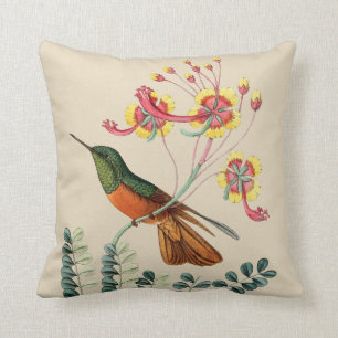 coussin du bureau d'accueil des oiseaux de Humming