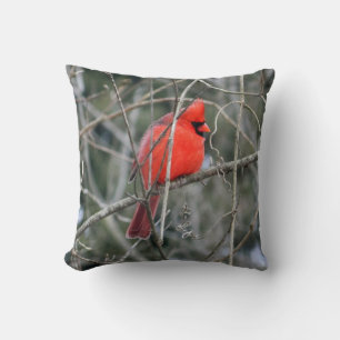 Coussin du cardinal royal rouge
