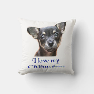 Coussin du Chihuahua
