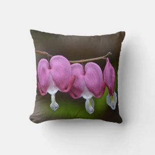 Coussin du coeur saignant