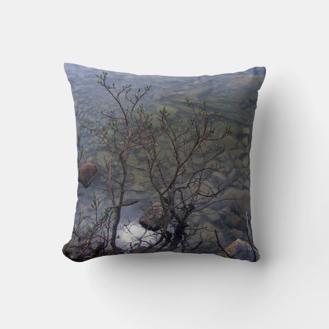 Coussin du lac 2 mirror (Recto)