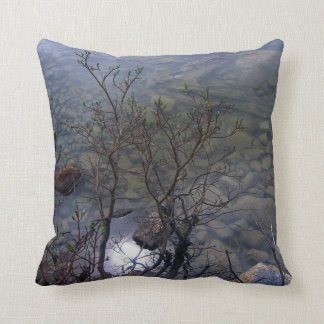 Coussin du lac 2 mirror