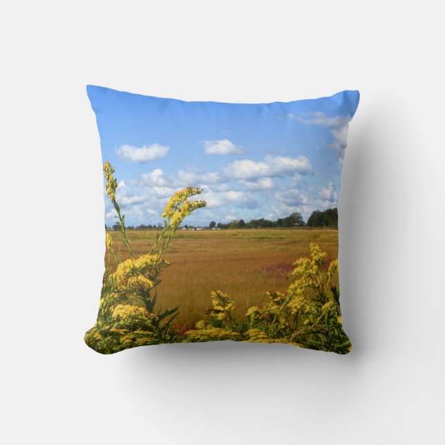 Coussin du marais de Hammonasset (Recto)