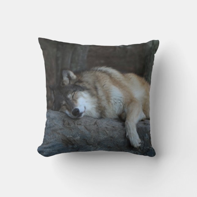Coussin du pavillon Wolf (Recto)