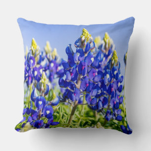 Coussin du Texas Bluebonnets