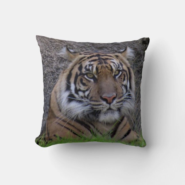 Coussin du tigre du Bengale (4765) (Recto)