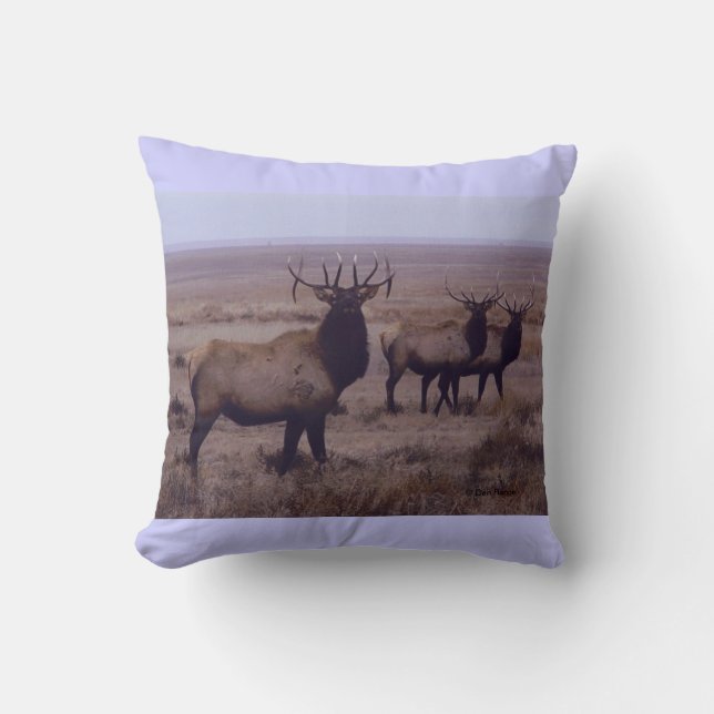 Coussin E19 Élan Mâle Double Ramures Tombantes (Recto)