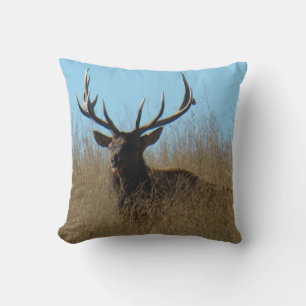 Coussin E26 Taureau couché dans les mauvaises herbes