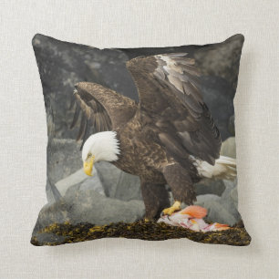 Coussin Eagle chauve final