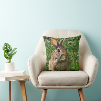 Coussin Eastern cottontail rabbit
