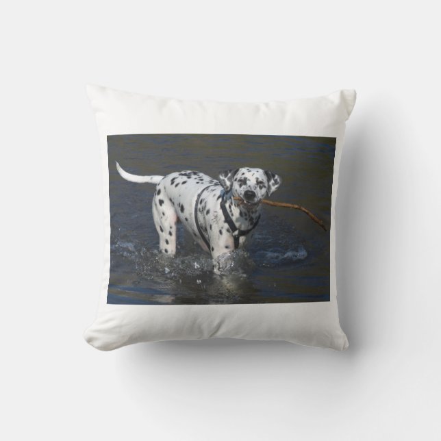Coussin eau dalmate.png (Recto)