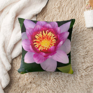 Coussin Eau Lilly Flower Photographie