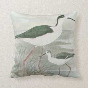 Coussin Échasses Noir-Étranglées par l'eau