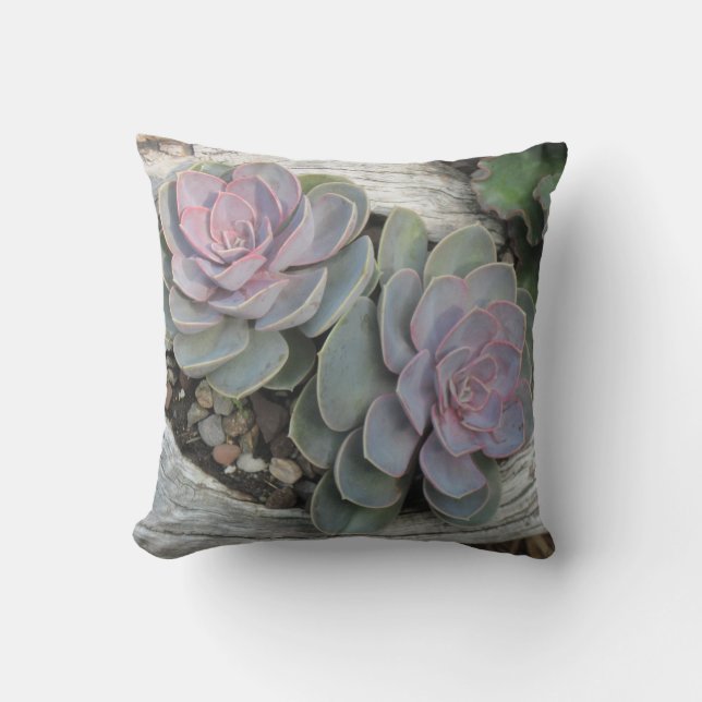 Coussin Echeveria (Recto)