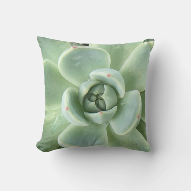 Coussin Echeveria Succulent (Recto)