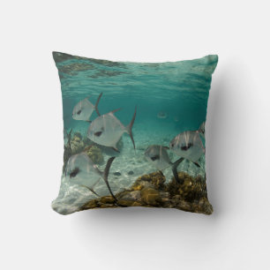 Coussin École de poissons permis