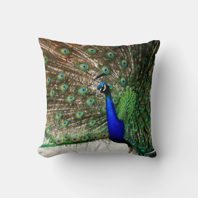 Coussin Écran Peacock Homme (Recto)