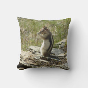 Coussin Écureuil de fond à manteau doré au glacier I