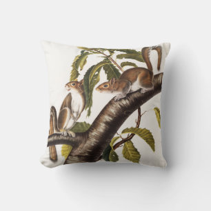 Coussin Écureuil gris de Caroline (Sciurus Carolinensis)