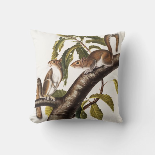 Coussin Écureuil gris de Caroline (Sciurus Carolinensis) (Recto)