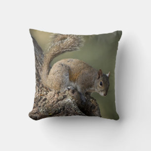 Coussin Écureuil gris oriental ou écureuil gris