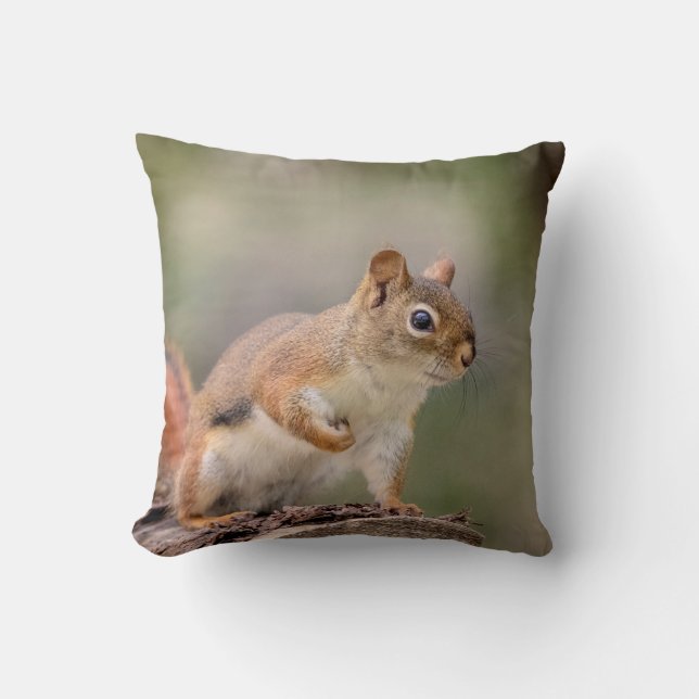 Coussin Écureuil rouge (Recto)
